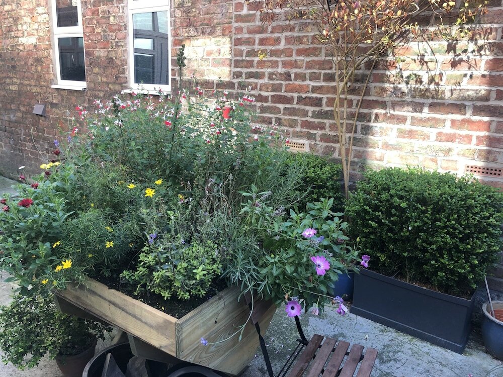 Фото The Promenade