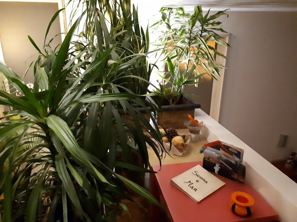 Фото Serra e Mar