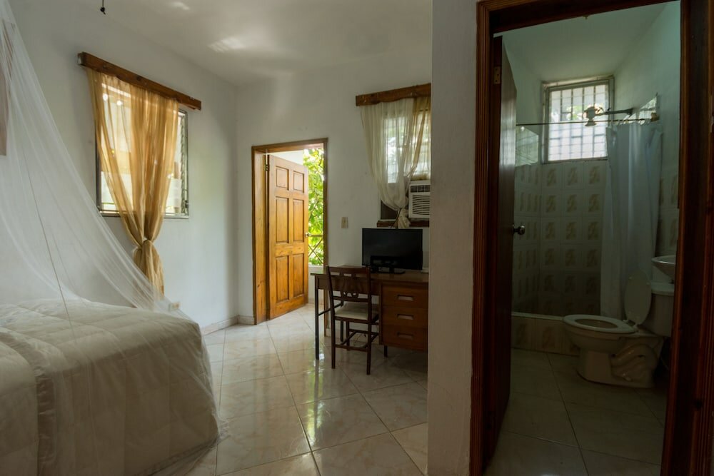 Фото Pacot Breeze