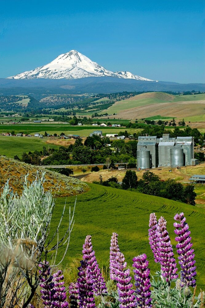 Фото Balch Hotel