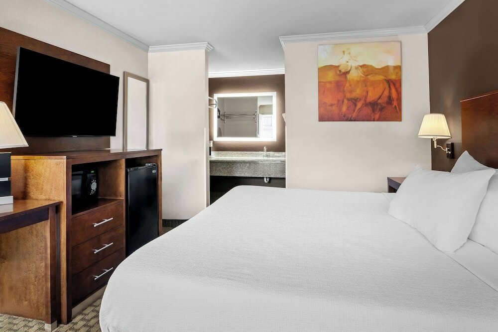 Фото Best Western Skyline Motor Lodge