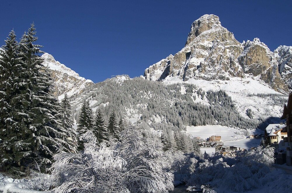 Фото Hotel Sassongher