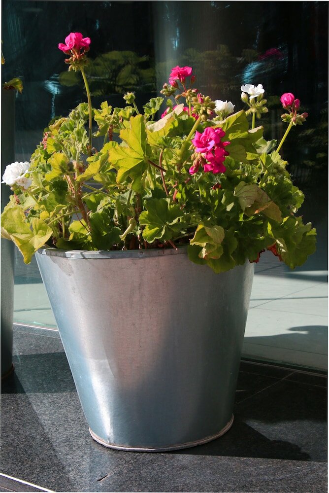 Фото Hotel Gran Regente