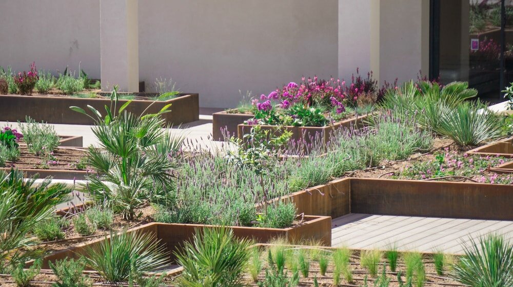 Фото Paradiso Garden Hotel