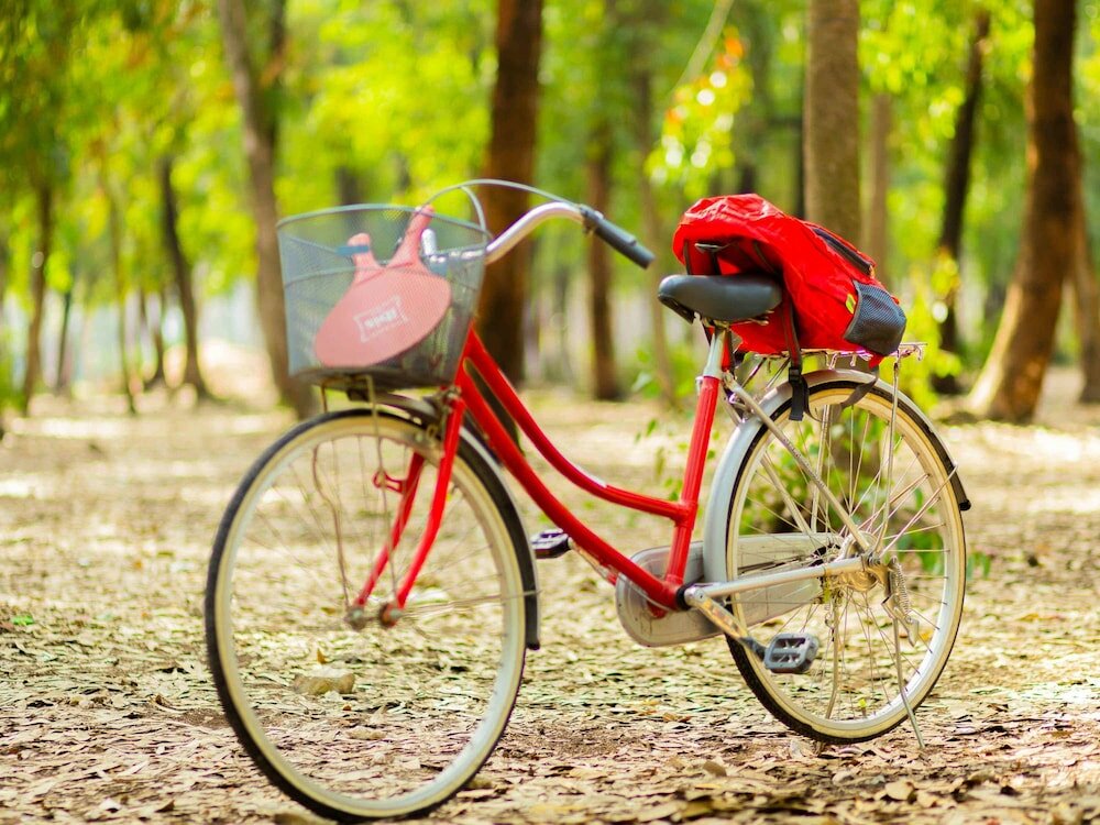 Фото 184977635855