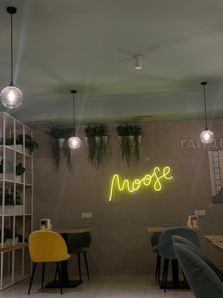 Coffee shop Coffee Moose, Dushanbe, photo