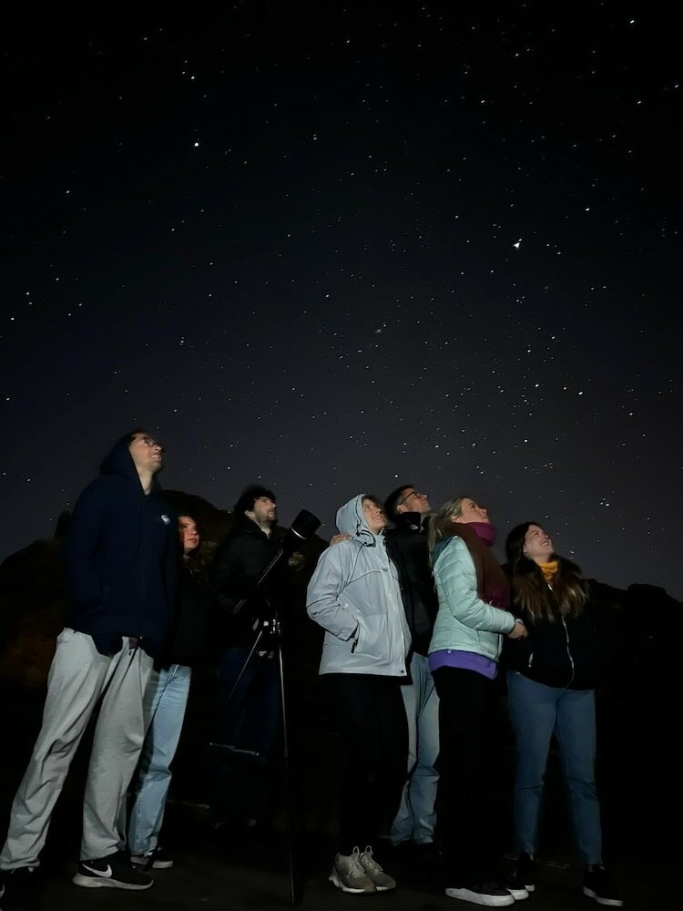 Фото Arena Nest Hostel