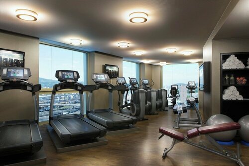 Гостиница Renaissance Zurich Tower Hotel в Цюрихе