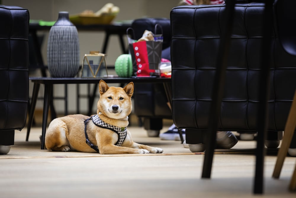 Фото Ibis Styles Calais Centre