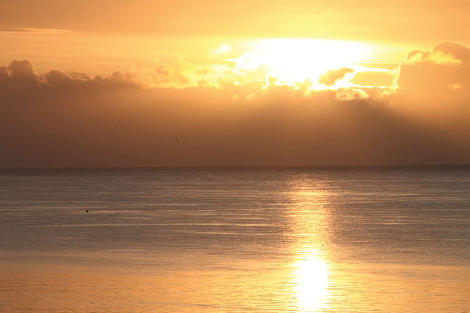 Фото Best Western Palace Hotel & Casino