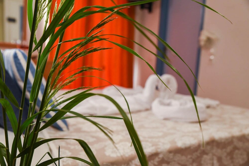 Фото Vassilia Hotel