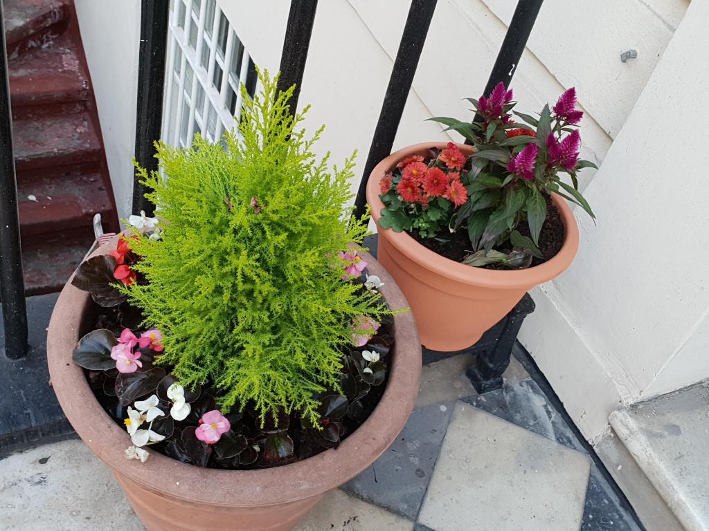 Фото 227633173309