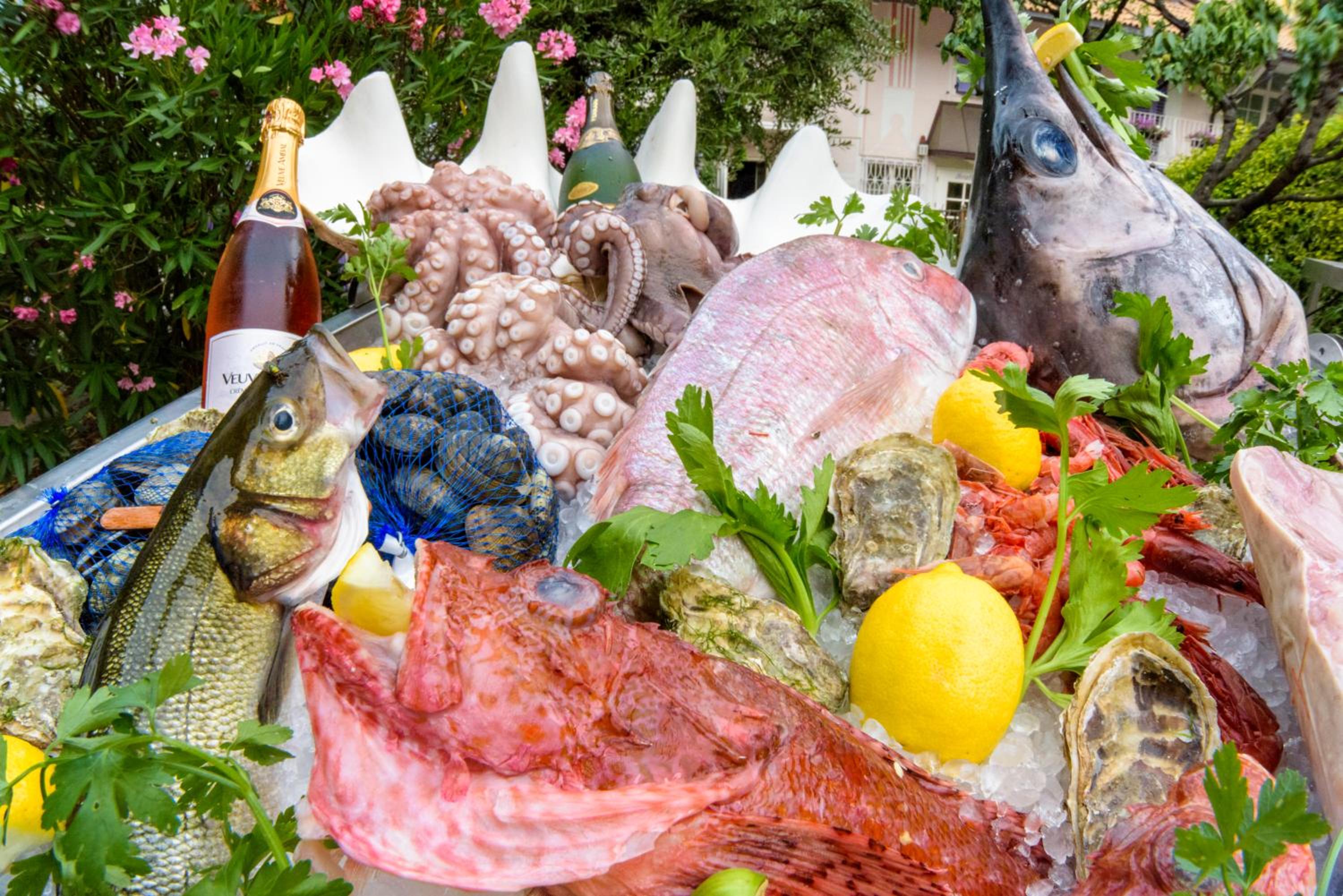 Фото Hotel Ristorante Lewald