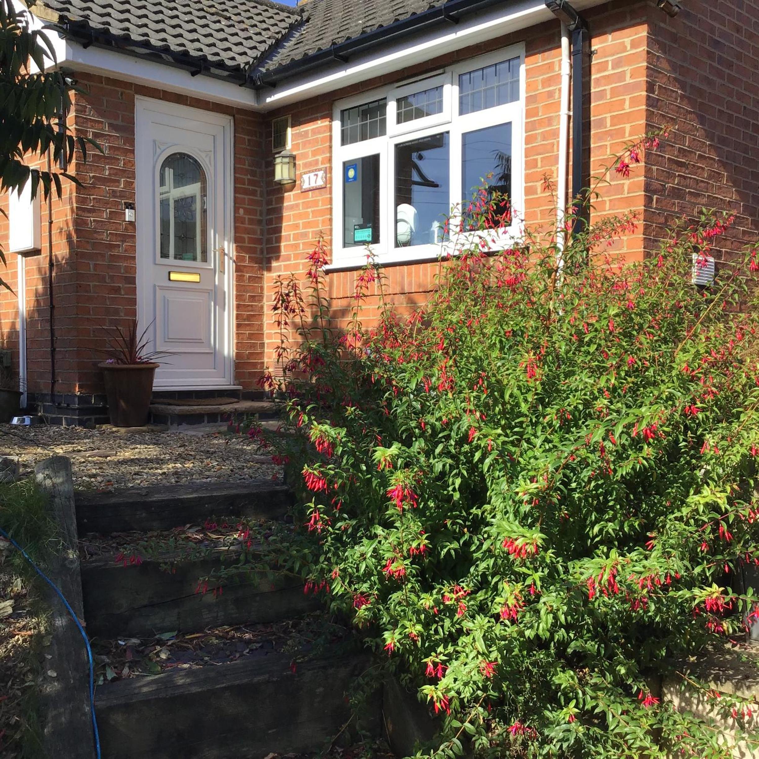 Фото Little Lodge