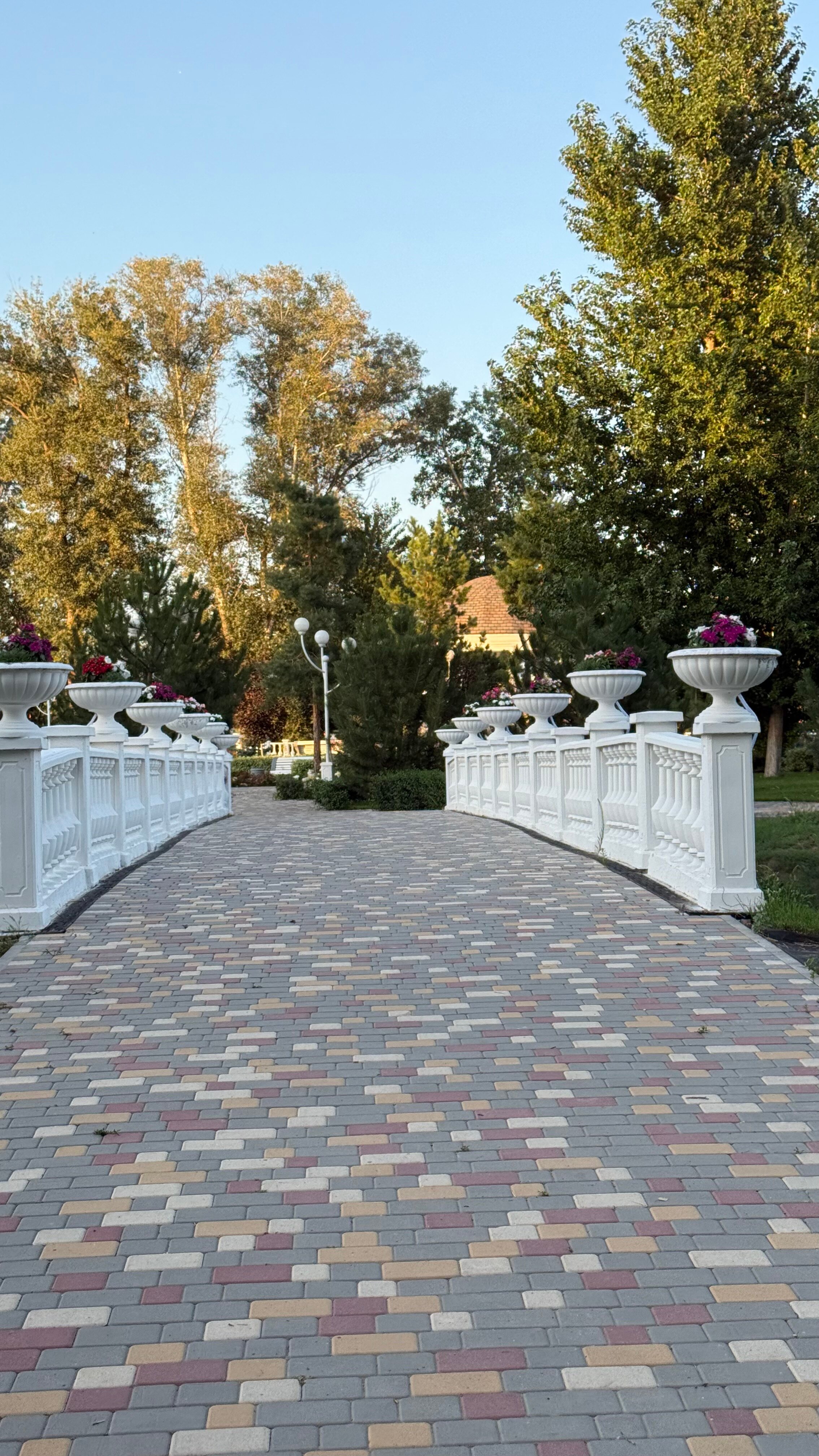 Фото Жемчужина