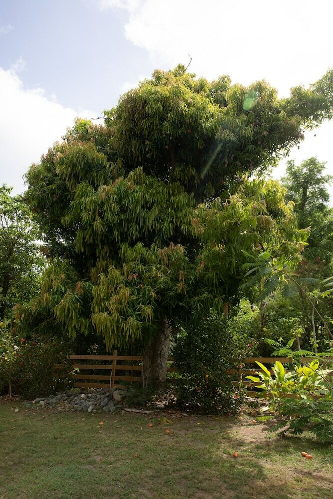 Фото Icis Villas