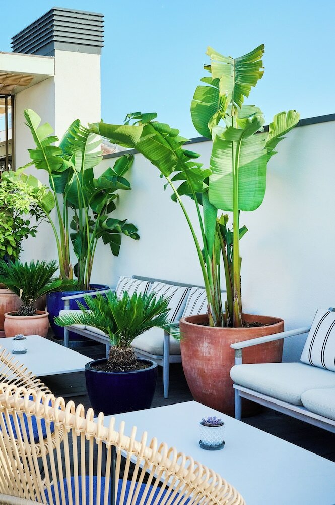 Фото Отель H10 Port Vell