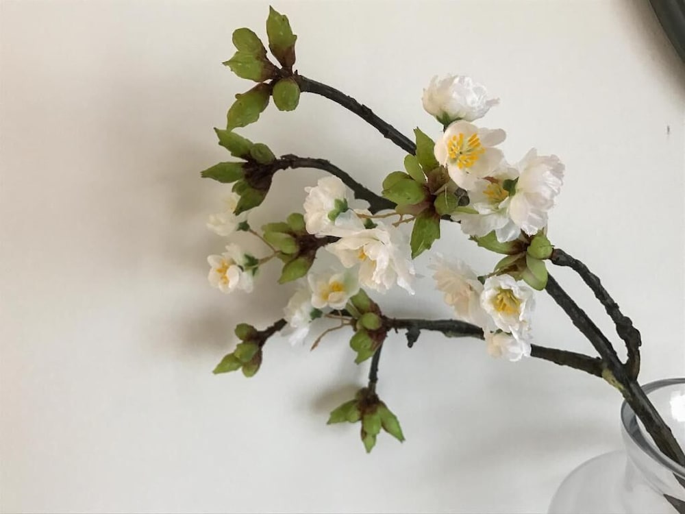 Фото The Music Fable