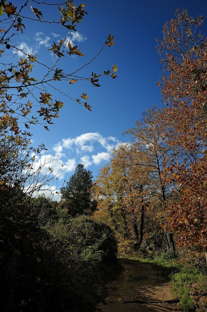 Фото Estate Kares