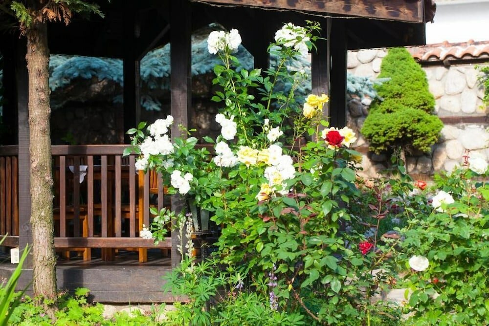 Фото Hotel Tanne