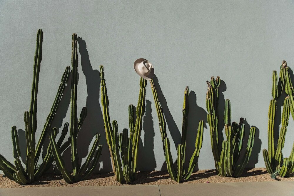 Фото Andaz Scottsdale Resort & Bungalows