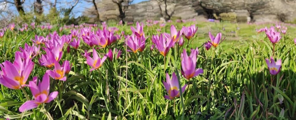 Фото Neos Omalos