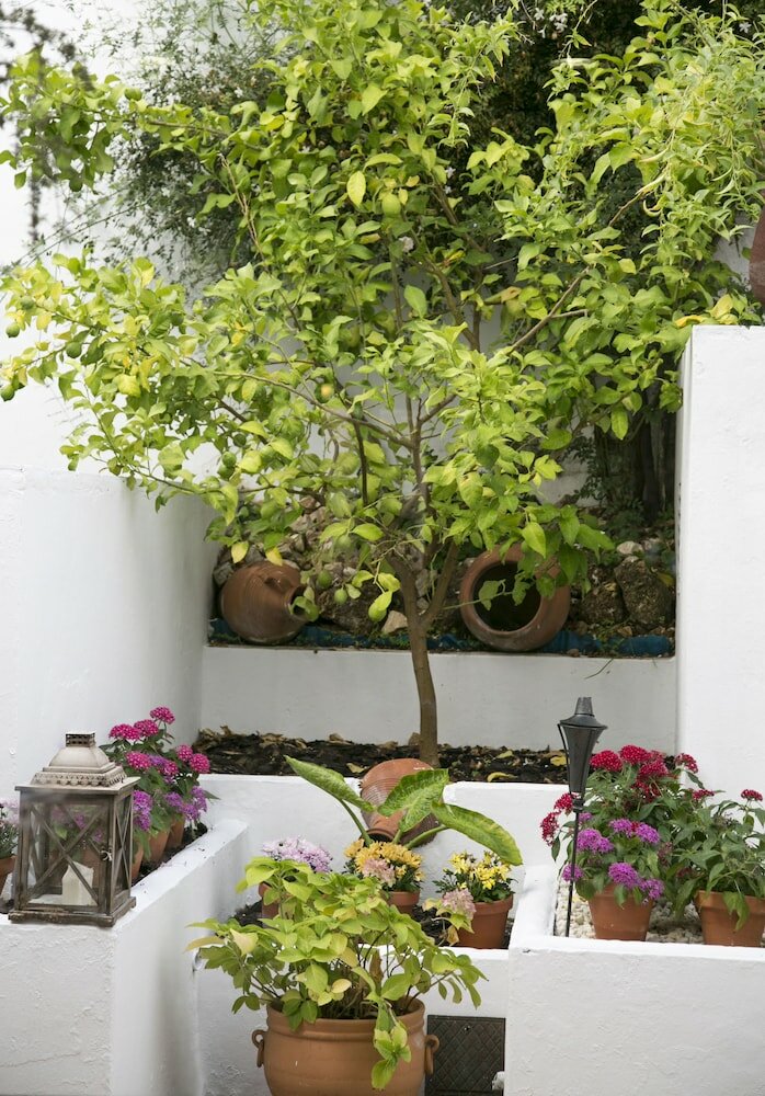 Фото Los Cantaros