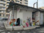 Строительный магазин (Yerevan, Karapet Ulnetsi Street, 62), hardware store