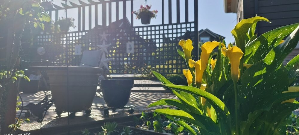 Фото Sunny Island by White Rock