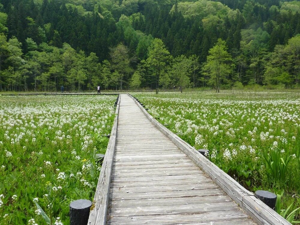 Фото Pension Ciel