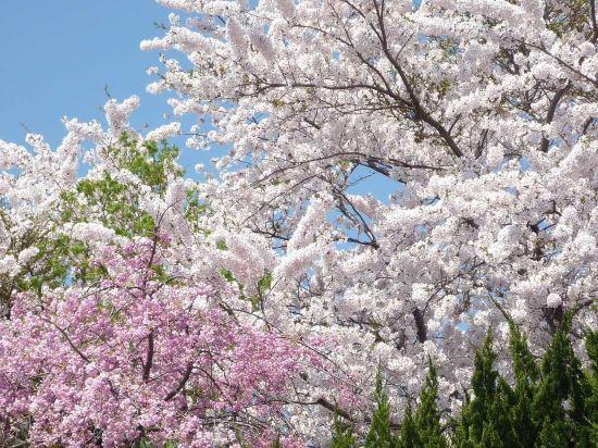 Фото Inagaki Onsen Hotel Kagetsutei