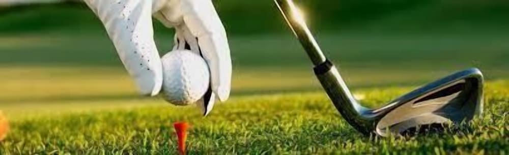 Фото Hotel Moderno