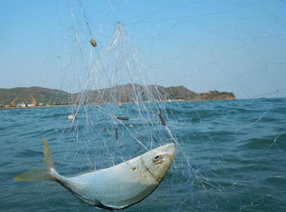 Фото Thanh Tung Hotel