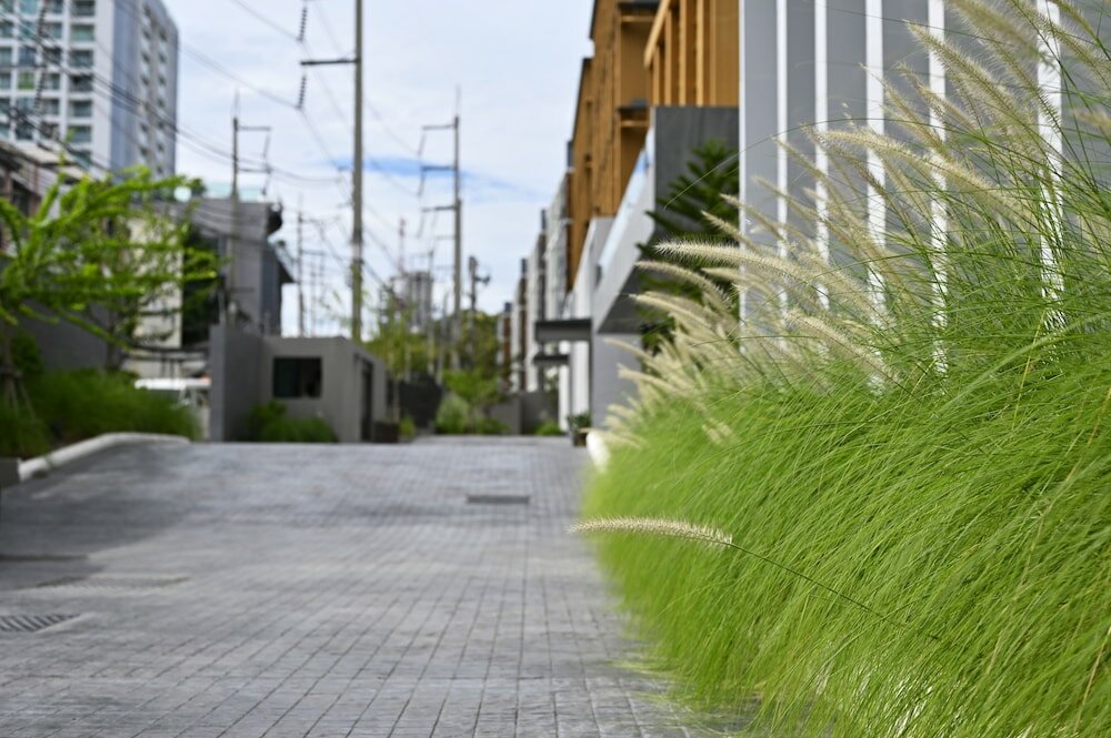 Фото Has Pattaya