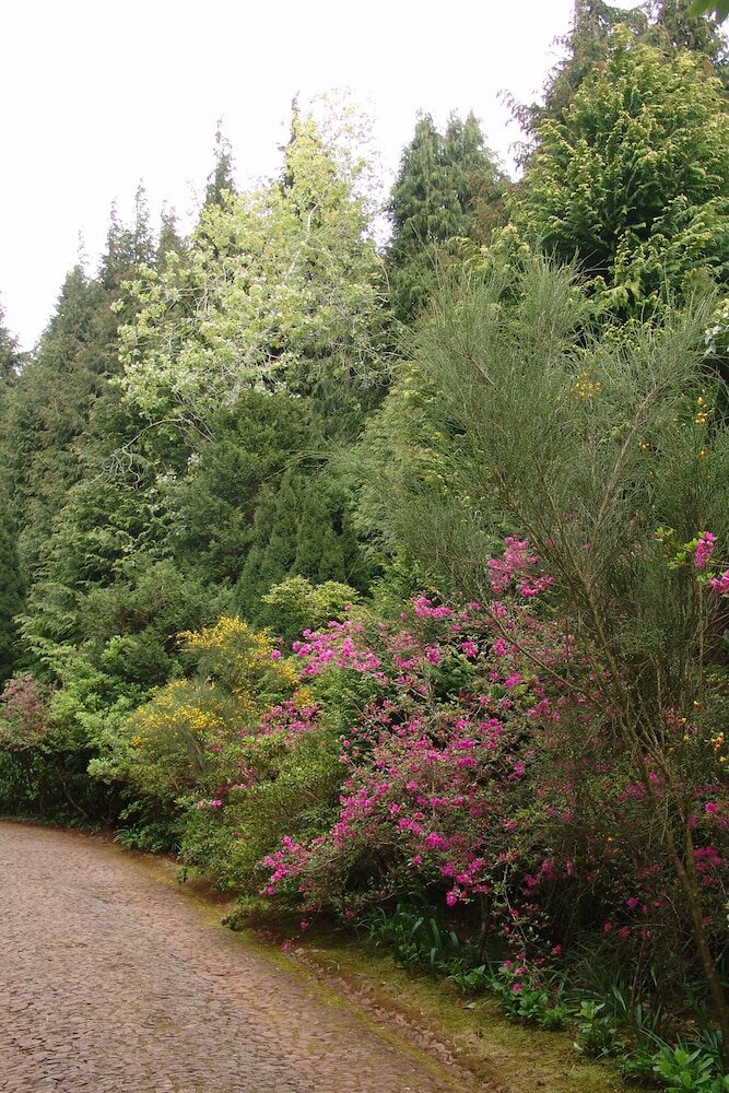 Фото Quinta de Santo António da Serra