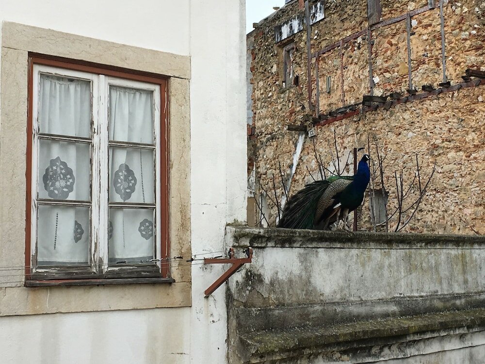 Фото Castle Inn Lisbon