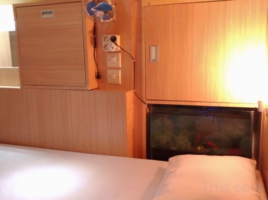 Фото Sahar Backpacker