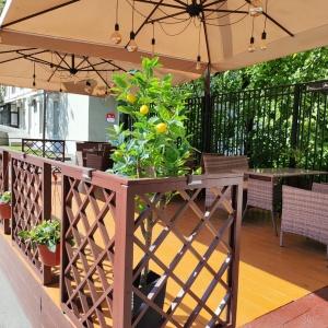 Фото Заречье