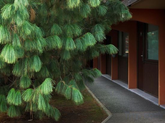 Фото Kyriad Direct Roanne