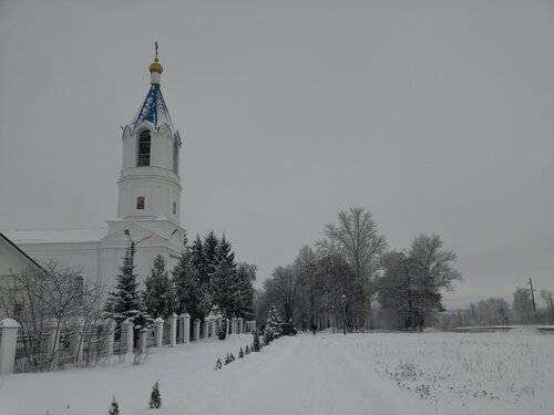 Церковь Иоакима и Анны в Долгом (132, село Долгое), православный храм в Курской области