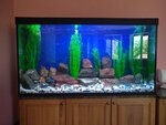 Aqua Life (V.I. Lenina Avenue, 67), aquariums