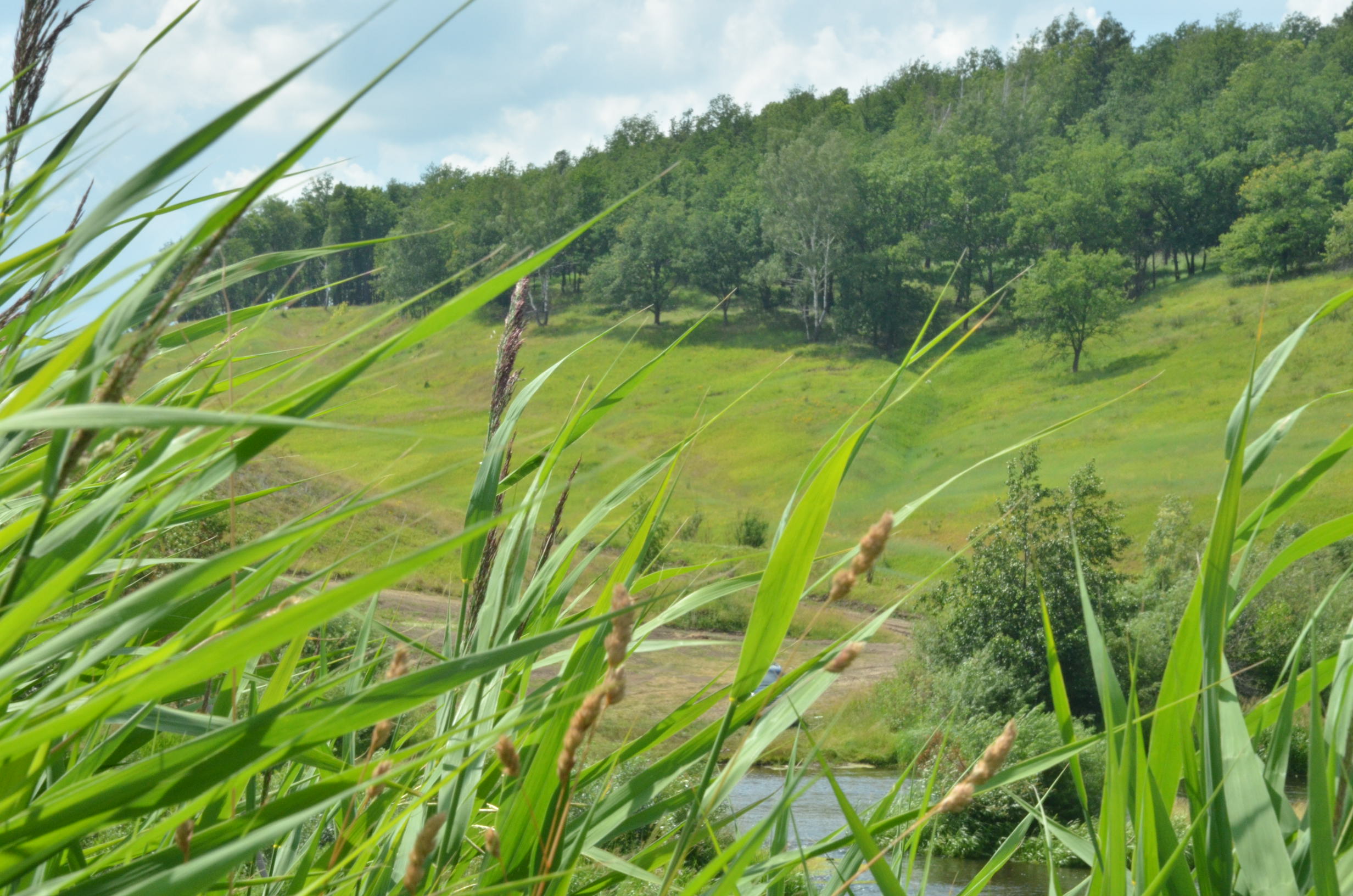 Фото Familyglamp Куликово поле