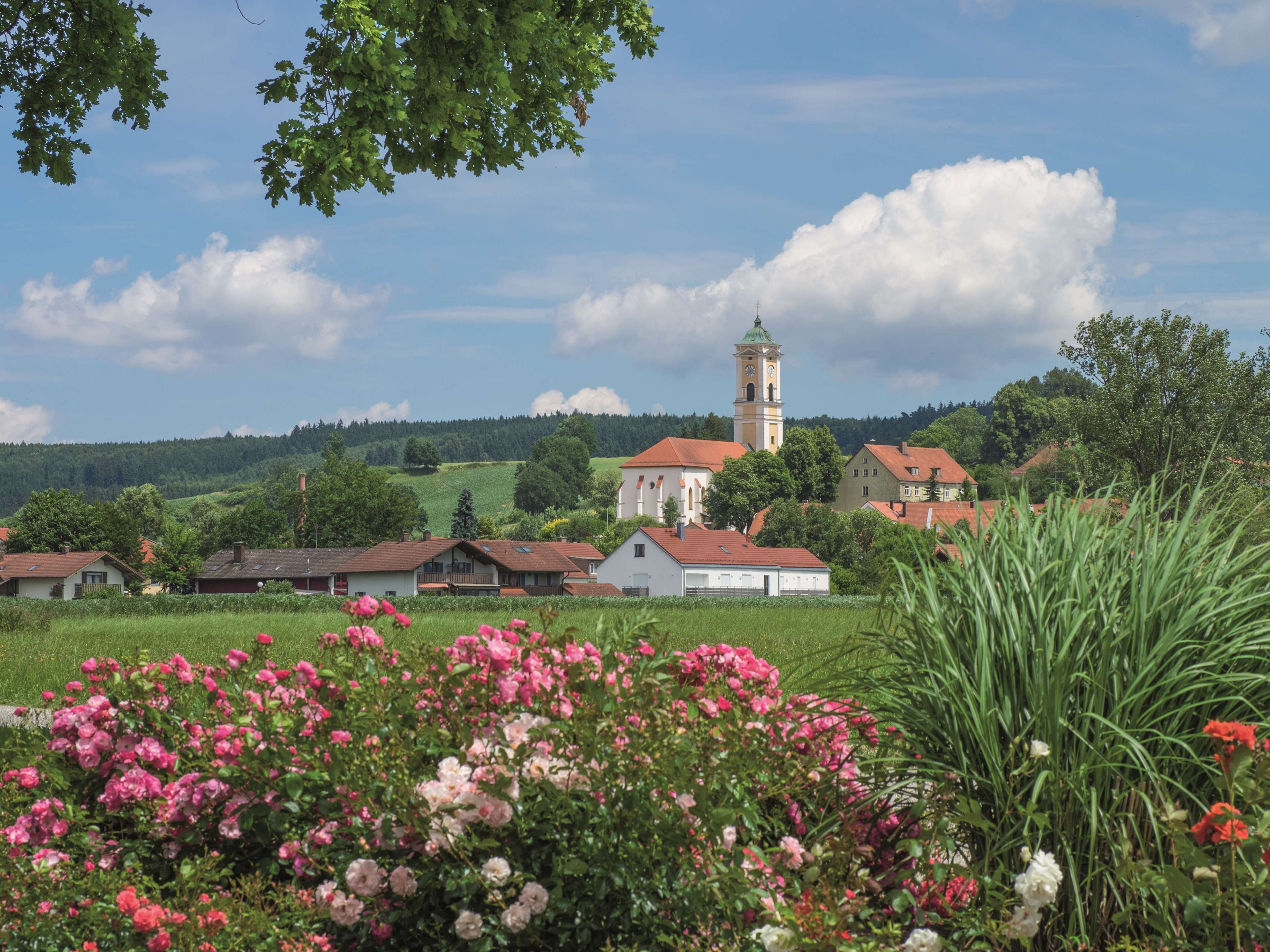 Фото Best Western Aparthotel Birnbachhoehe