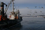 Pacific Fish Resources (Mira Avenue, 1Ж), fish and seafood