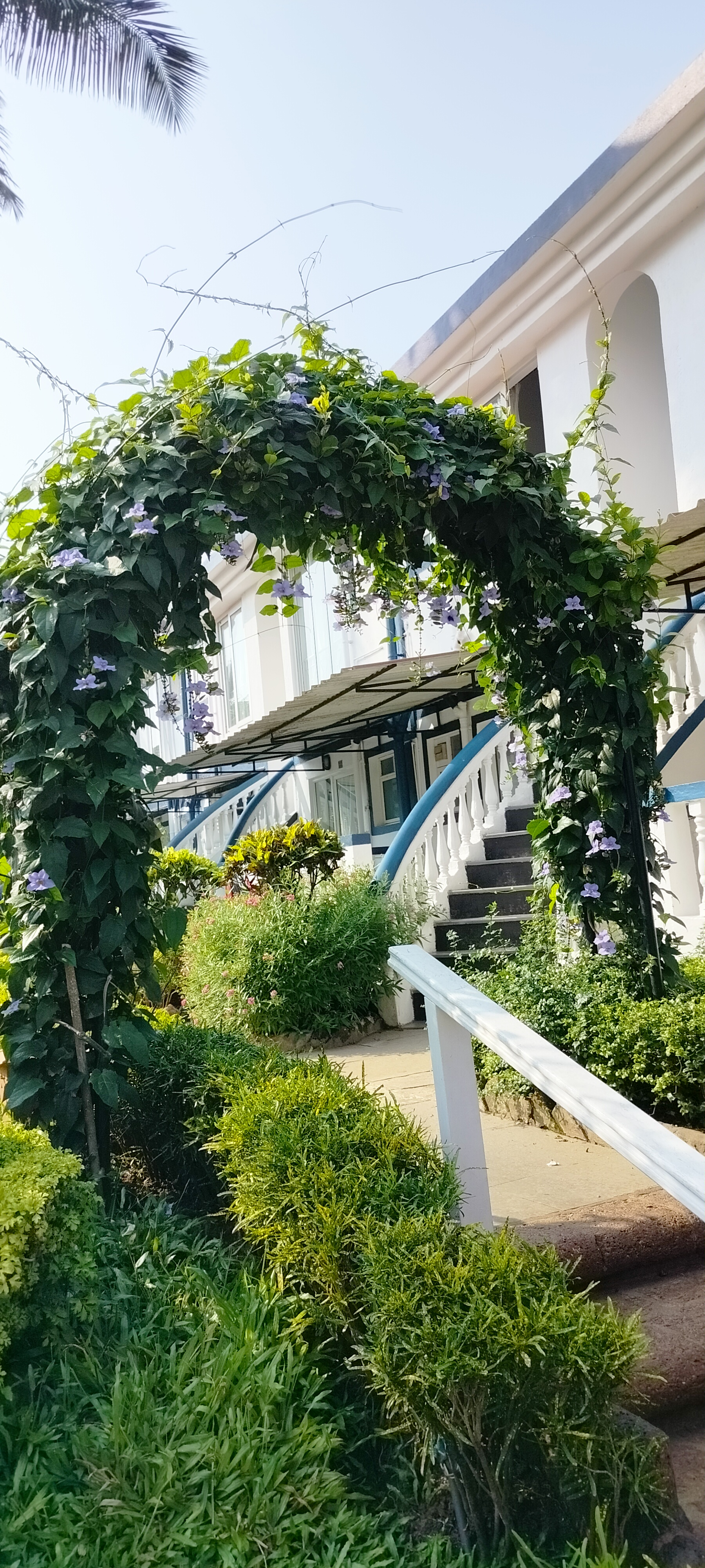 Фото Santana Beach Resort