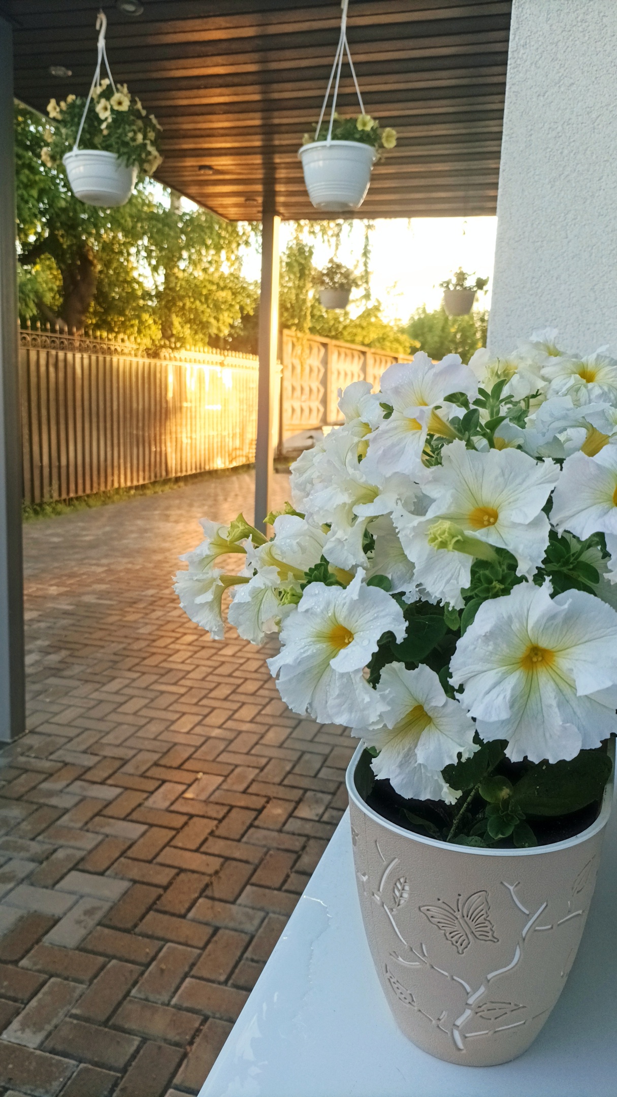 Фото Металлург