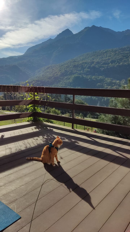 Фото Намасте