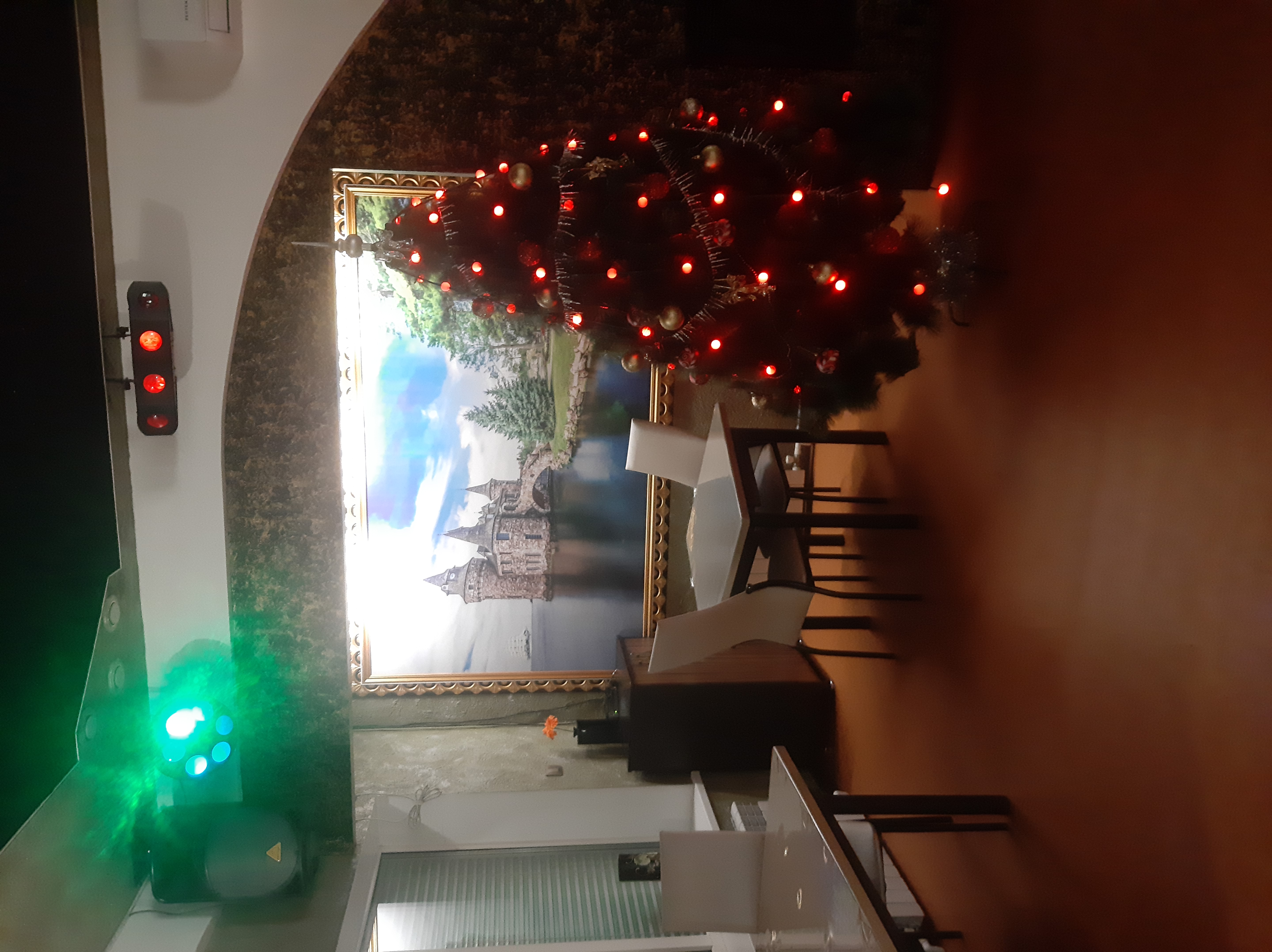 Фото Спутник