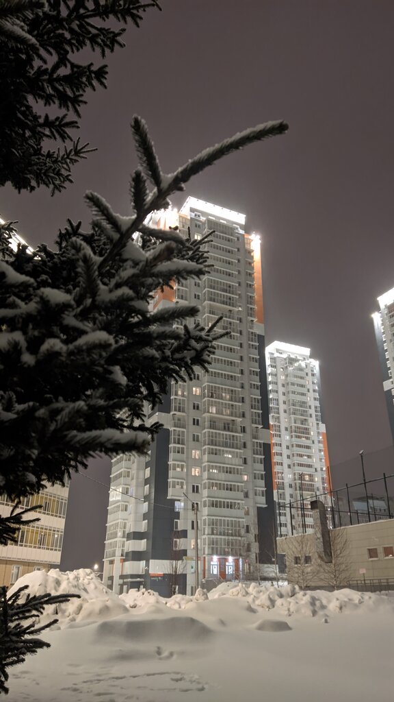 Общежитие Общежитие № 20 Сибирского федерального университета, Красноярск, фото