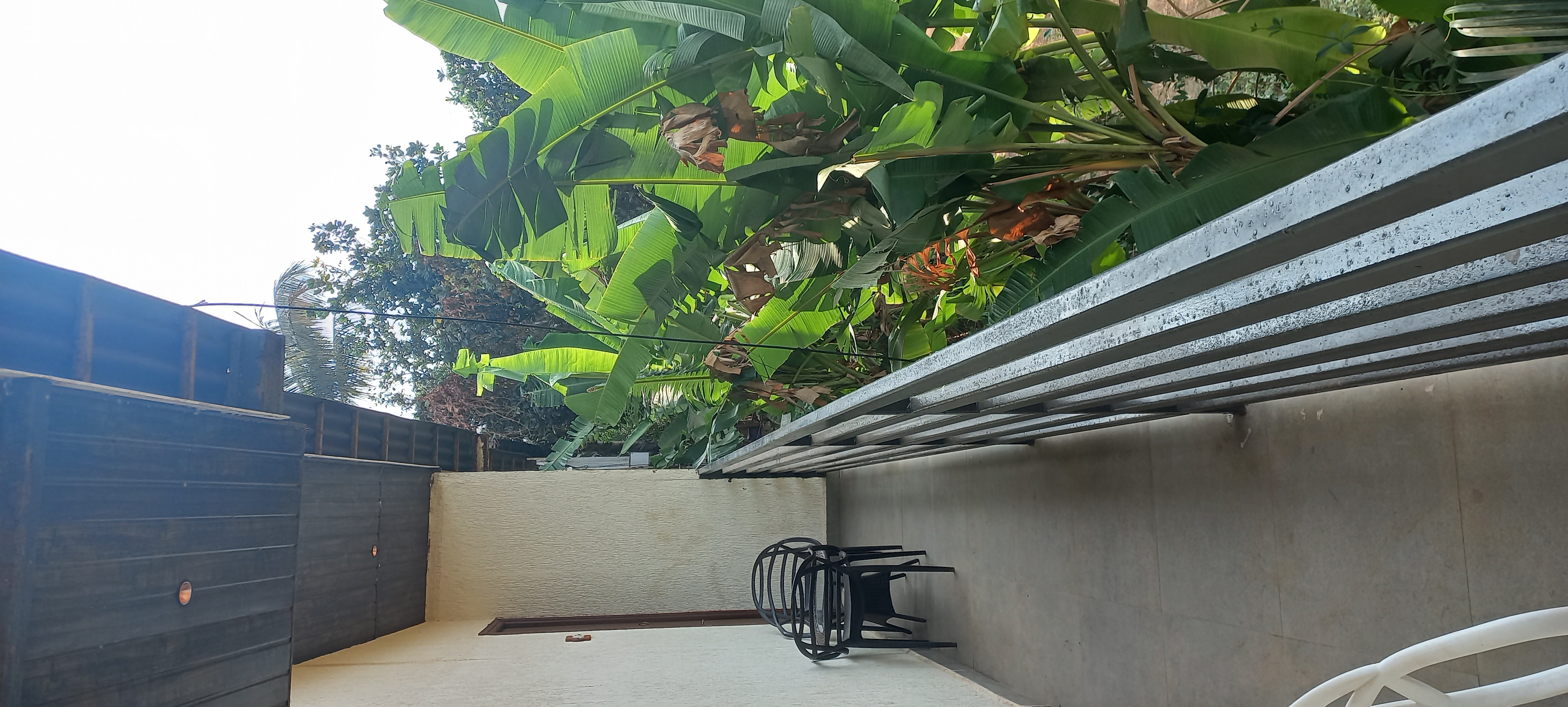 Фото Sibaya Beach Resort